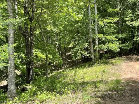 00 Collett Woods Trail Andrews NC 28901