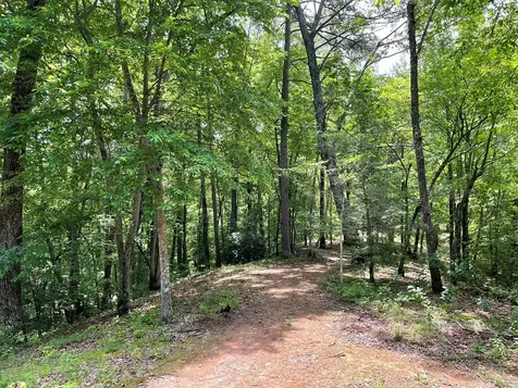 00 Collett Woods Trail Andrews NC 28901