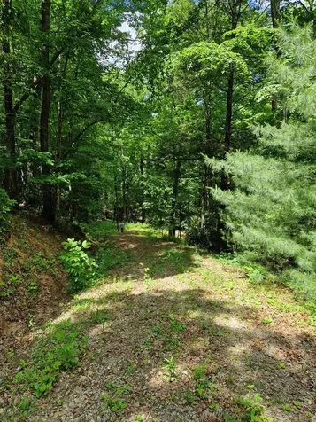00 Collett Woods Trail Andrews NC 28901