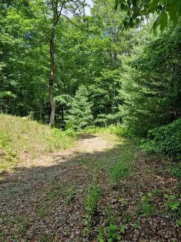 00 Collett Woods Trail Andrews NC 28901
