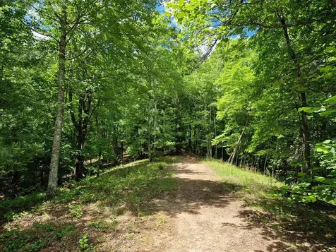 00 Collett Woods Trail Andrews NC 28901
