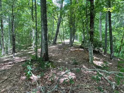 00 Collett Woods Trail Andrews NC 28901