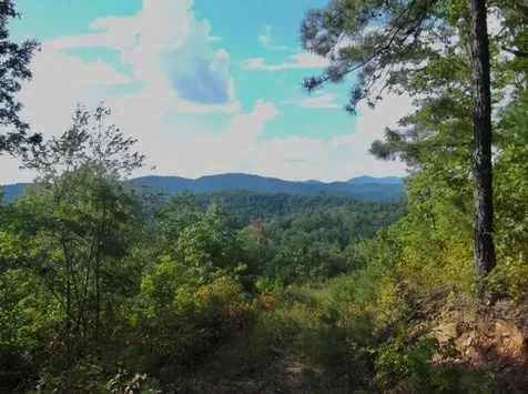 2.57 Scottie Mountain Circle Murphy NC 28906