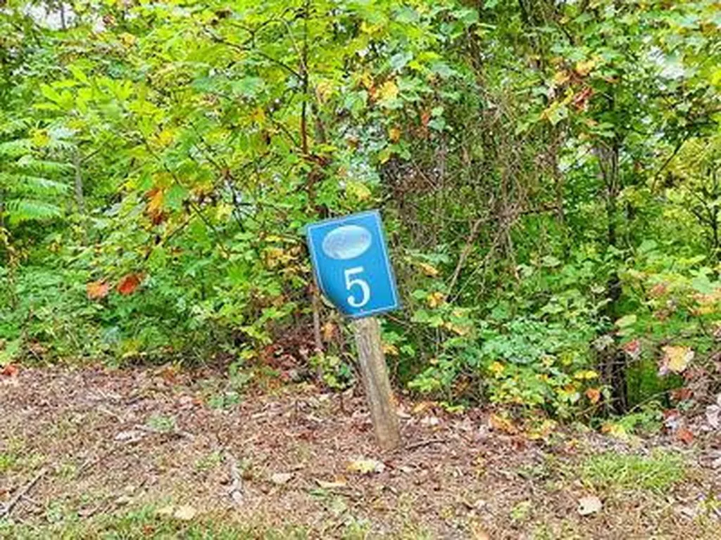 Lot 5 Skyview Drive Hayesville NC 28904
