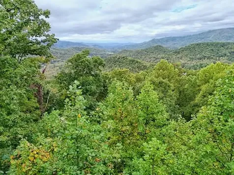 Lot 5 Skyview Drive Hayesville NC 28904