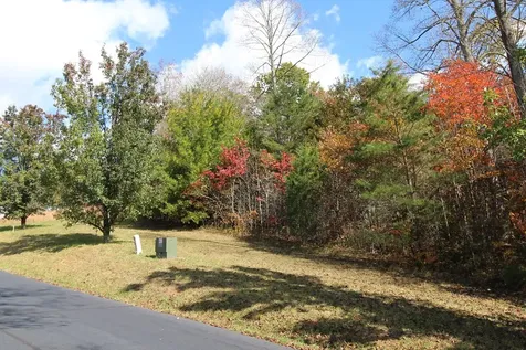 Lot 17 Old Taylors Ferry Ridge Murphy NC 28906