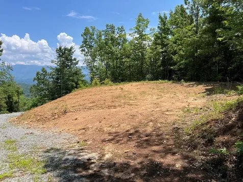 501 Clifftop Trail Andrews NC 28901