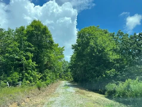 501 Clifftop Trail Andrews NC 28901