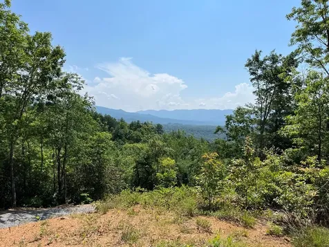 501 Clifftop Trail Andrews NC 28901