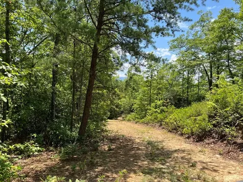 501 Clifftop Trail Andrews NC 28901