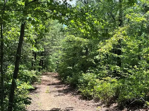 501 Clifftop Trail Andrews NC 28901