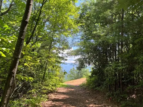 501 Clifftop Trail Andrews NC 28901