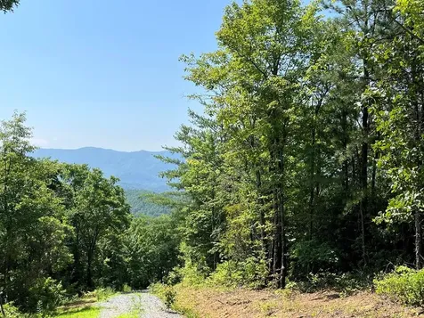 501 Clifftop Trail Andrews NC 28901