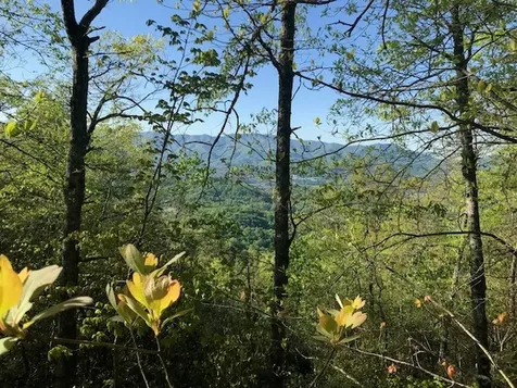 501 Clifftop Trail Andrews NC 28901