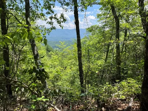 501 Clifftop Trail Andrews NC 28901