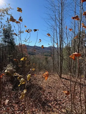 Lot 14 View Ridge Trail Murphy NC 28906