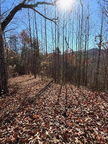Lot 13 View Ridge Trail Murphy NC 28906