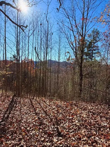 Lot 13 View Ridge Trail Murphy NC 28906