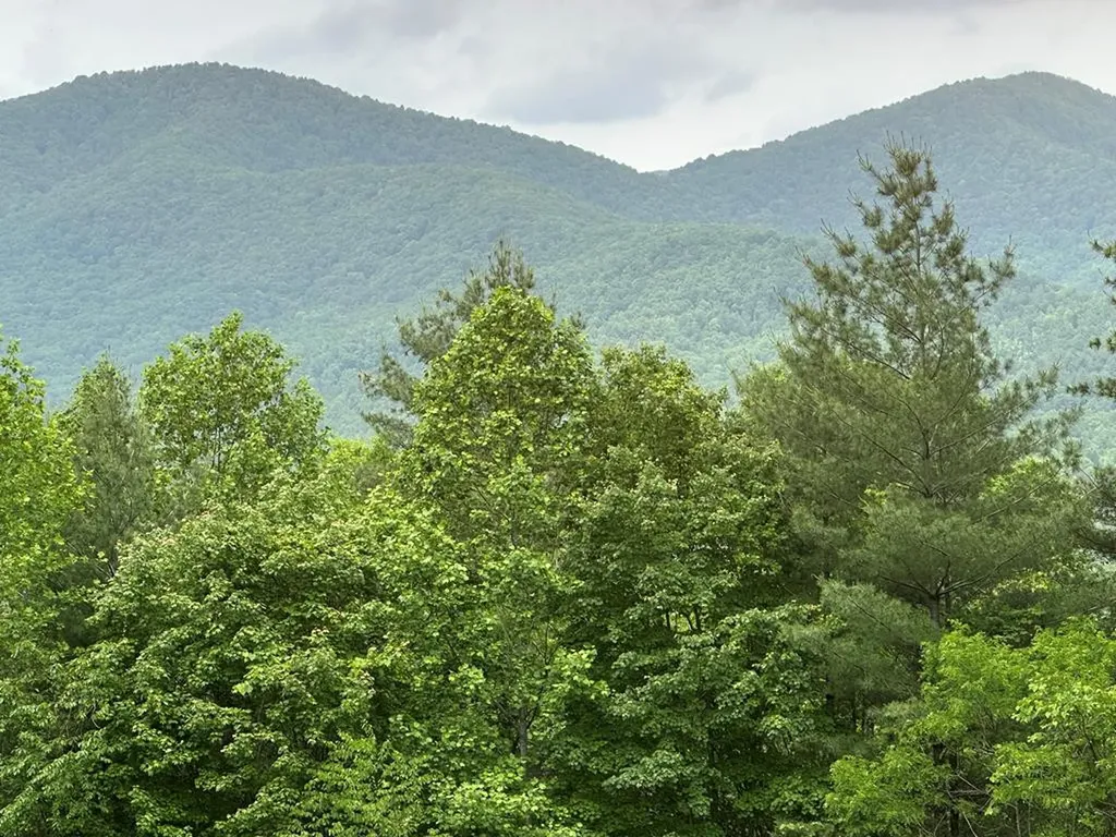 00 Top Horseshoe Ridge Murphy NC 28906