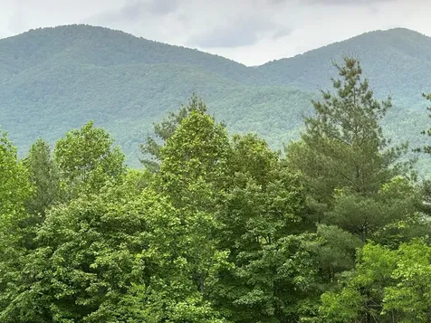 00 Top Horseshoe Ridge Murphy NC 28906