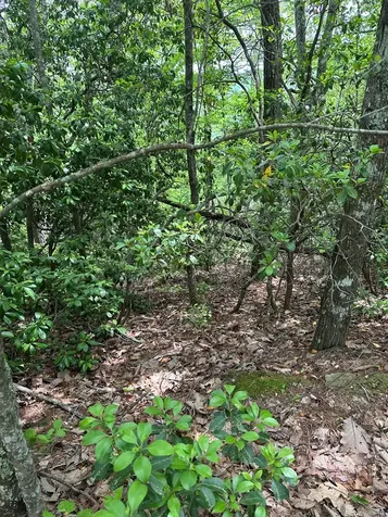 00 Top Horseshoe Ridge Murphy NC 28906