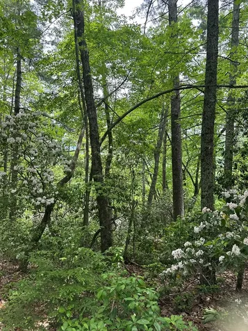 00 Top Horseshoe Ridge Murphy NC 28906
