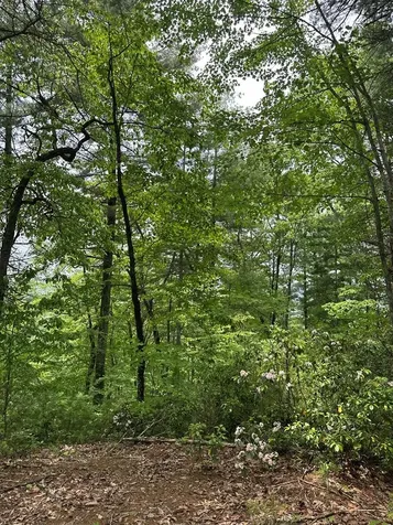 00 Top Horseshoe Ridge Murphy NC 28906