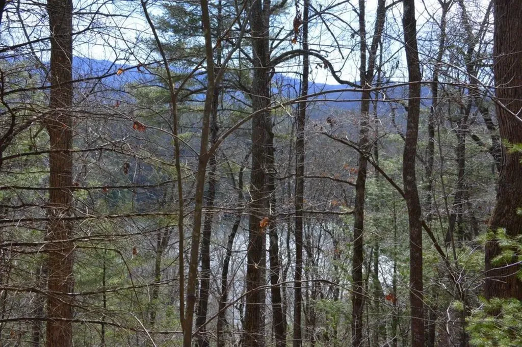 00 Chestnut Ridge Robbinsville NC 28771