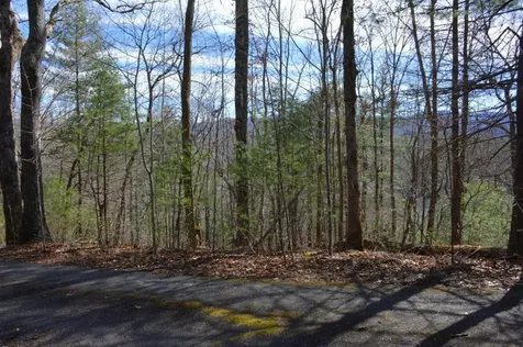 00 Chestnut Ridge Robbinsville NC 28771