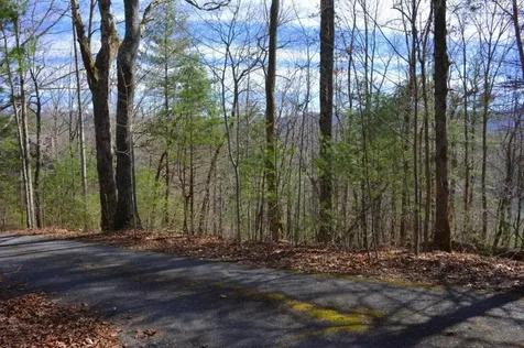 00 Chestnut Ridge Robbinsville NC 28771