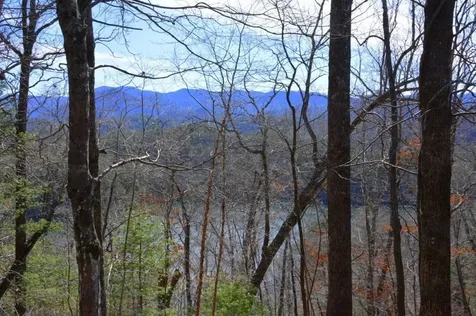 00 Chestnut Ridge Robbinsville NC 28771