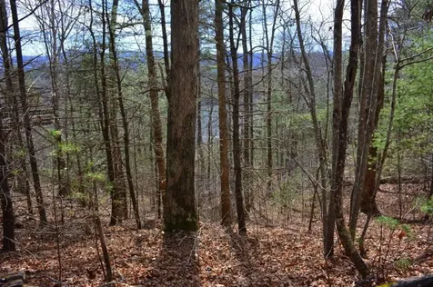 00 Chestnut Ridge Robbinsville NC 28771