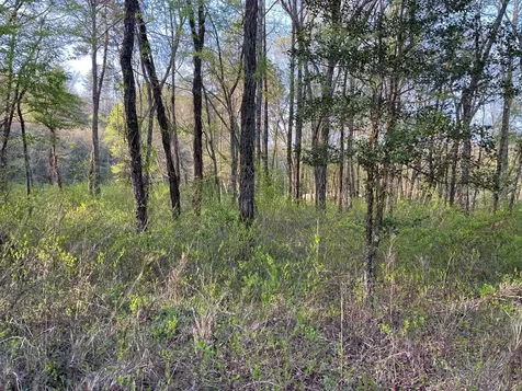 0 River Farm Drive Murphy NC 28906