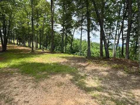 Lot 62 Thundering Hill Murphy NC 28906