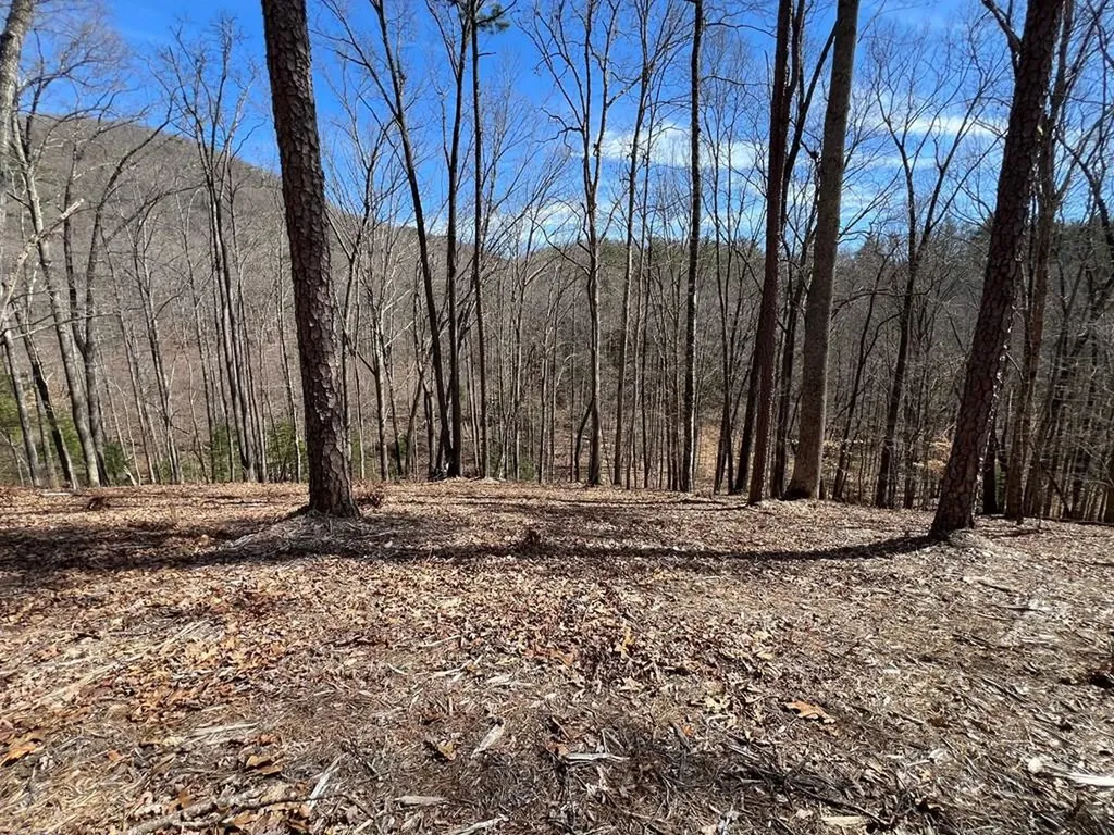 Lot 164 Tracks Hollow Murphy NC 28906
