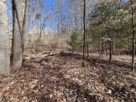 Lot 164 Tracks Hollow Murphy NC 28906