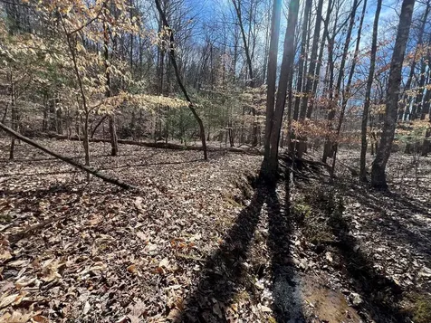 Lot 164 Tracks Hollow Murphy NC 28906