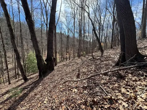 Lot 164 Tracks Hollow Murphy NC 28906