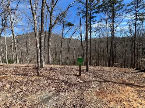 Lot 164 Tracks Hollow Murphy NC 28906