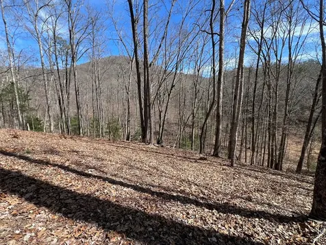 Lot 164 Tracks Hollow Murphy NC 28906
