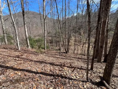 Lot 164 Tracks Hollow Murphy NC 28906
