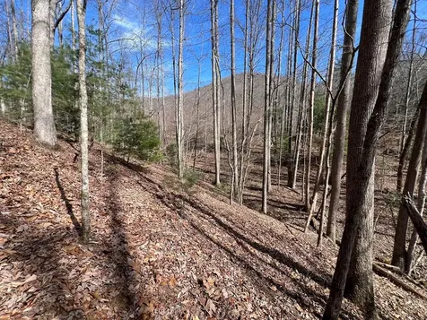 Lot 164 Tracks Hollow Murphy NC 28906
