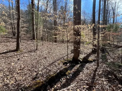 Lot 164 Tracks Hollow Murphy NC 28906