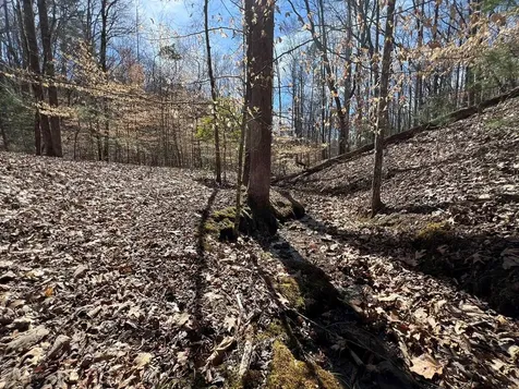 Lot 164 Tracks Hollow Murphy NC 28906