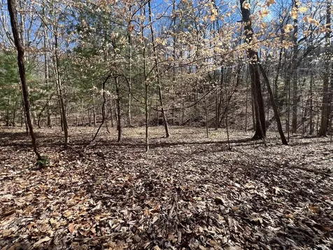 Lot 164 Tracks Hollow Murphy NC 28906