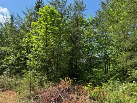 Lot 11 Paradise Marble NC 28905