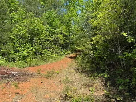 Lot 11 Paradise Marble NC 28905