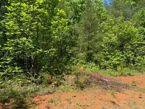 Lot 11 Paradise Marble NC 28905