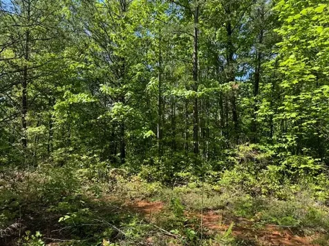 Lot 11 Paradise Marble NC 28905