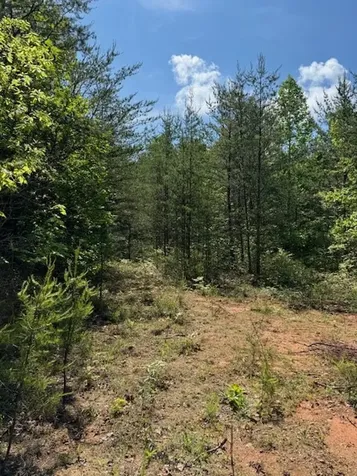 Lot 11 Paradise Marble NC 28905